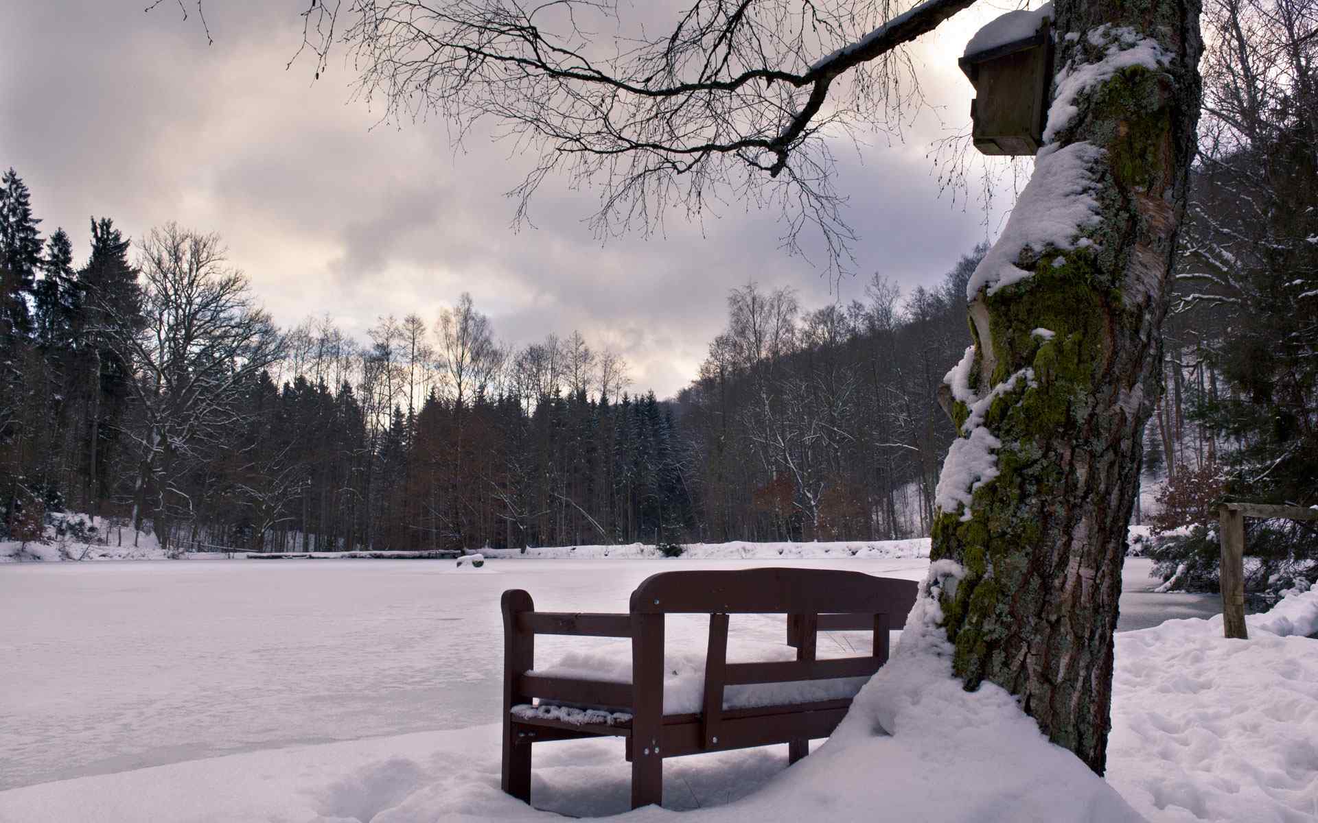 冬季雪景壁纸