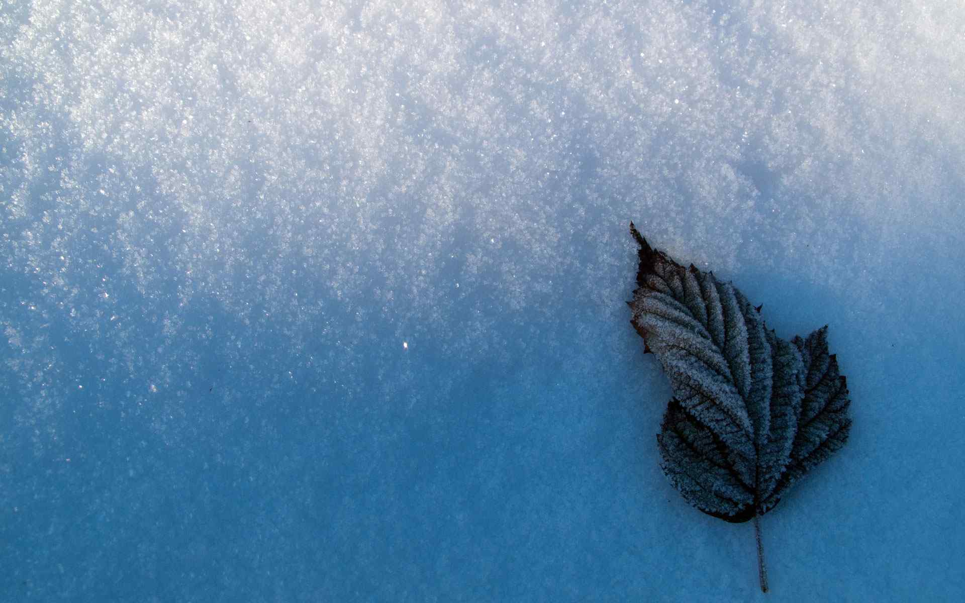 冬季雪景壁纸