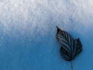 冬季雪景壁纸