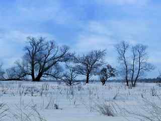 冬季雪景摄影壁纸