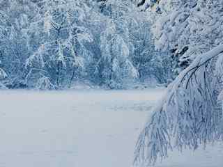 精选冬季雪景壁纸