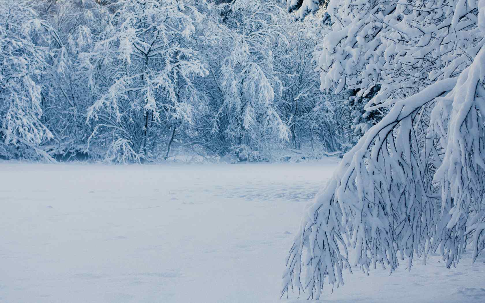 精选冬季雪景壁纸