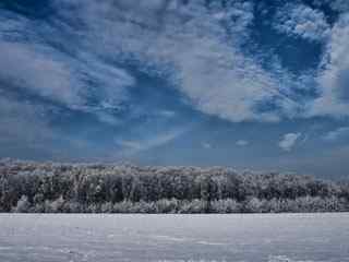 冬季森林雪景壁纸