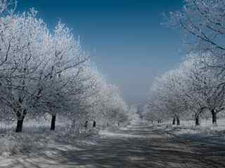 山野公路雪景壁纸