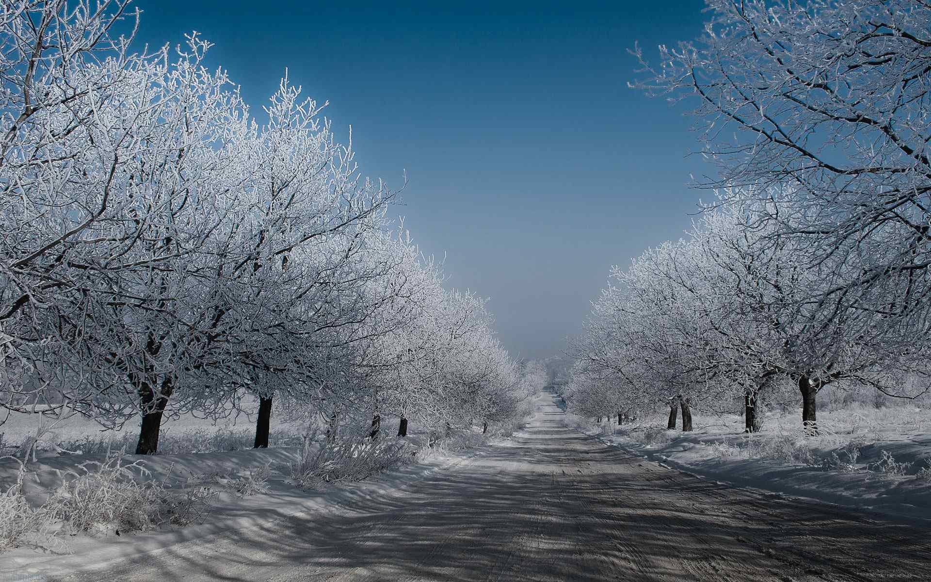 山野公路雪景壁纸