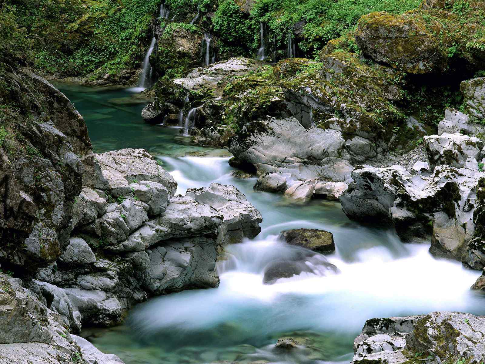 山涧清泉风景壁纸