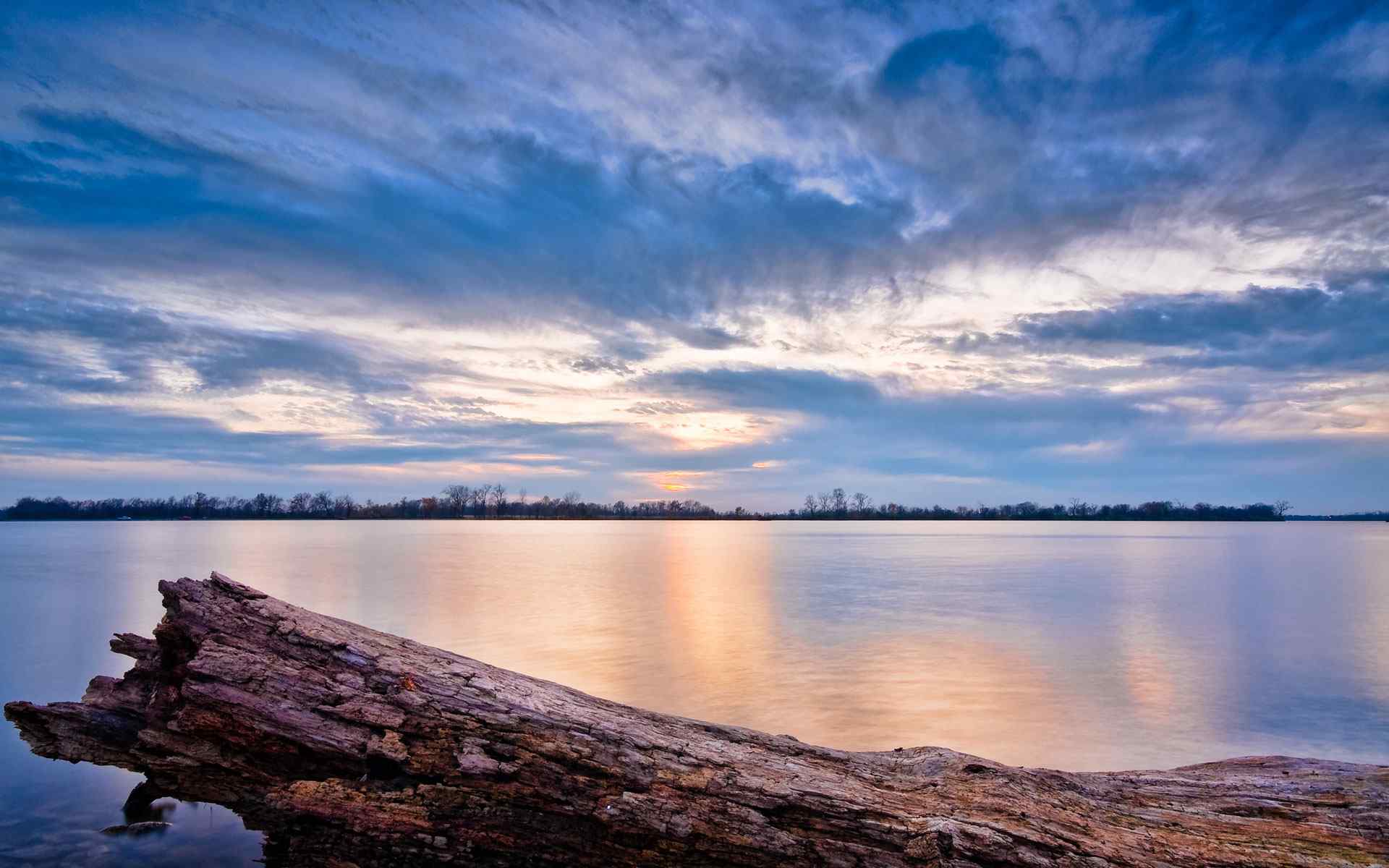 枯木湖面风景壁纸