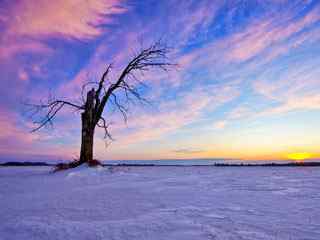 夕阳山野雪景壁纸