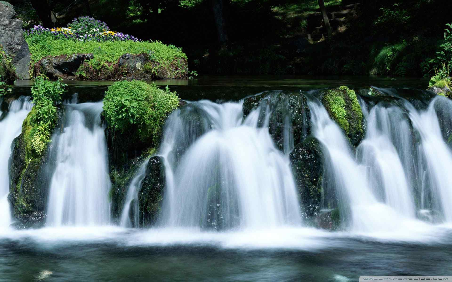 山涧清泉风景壁纸