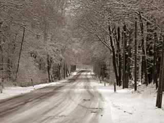 冬日树林雪景公路壁纸