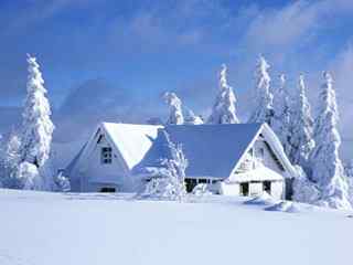 皎洁雪景摄影壁纸