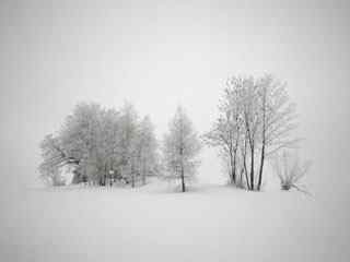 雪林风景摄影壁纸