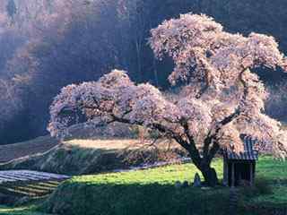 唯美山野风景壁纸