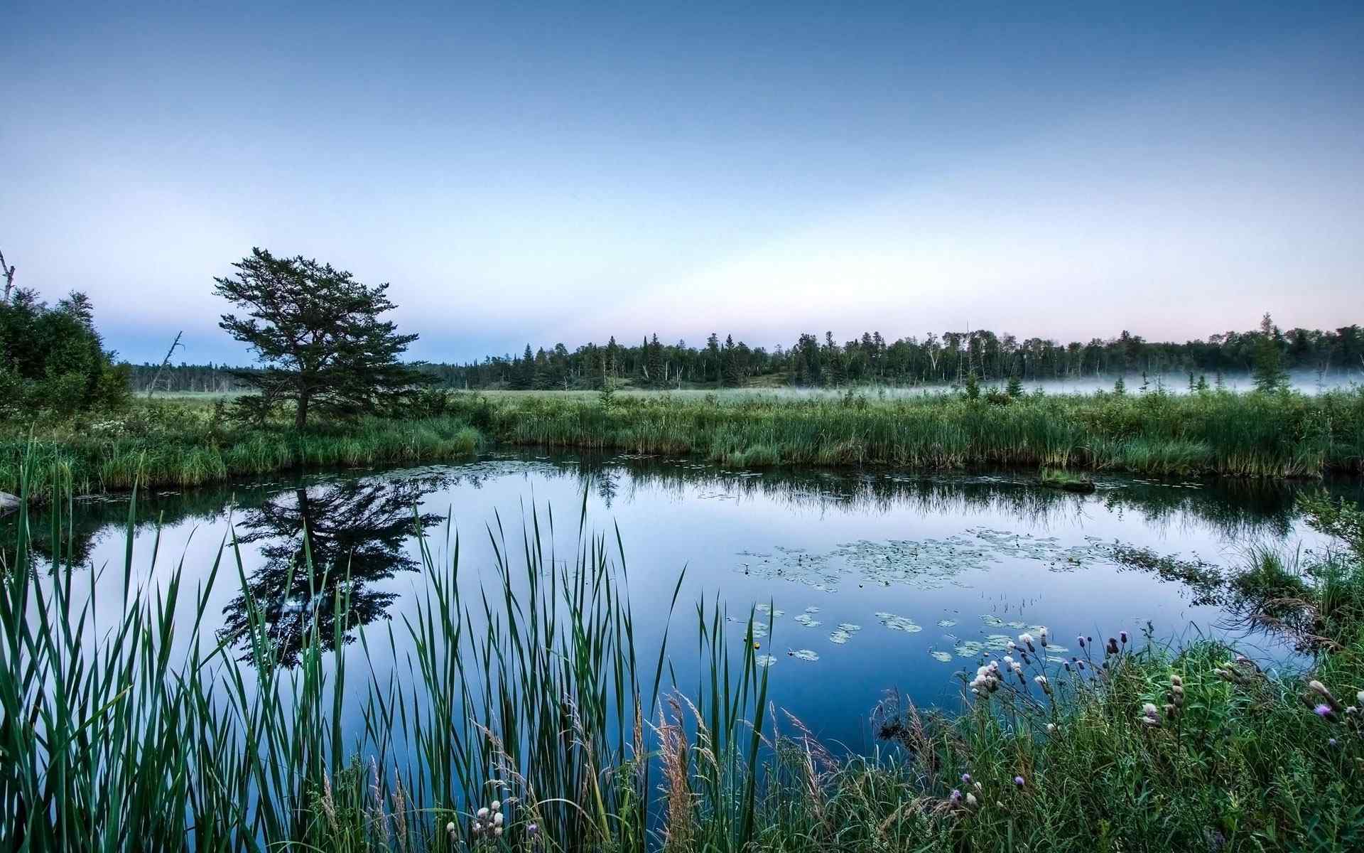 山野池塘风景壁纸