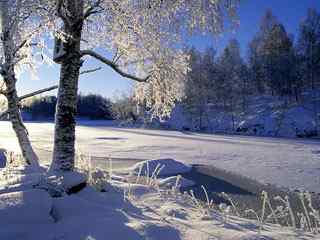 山野雪景壁纸