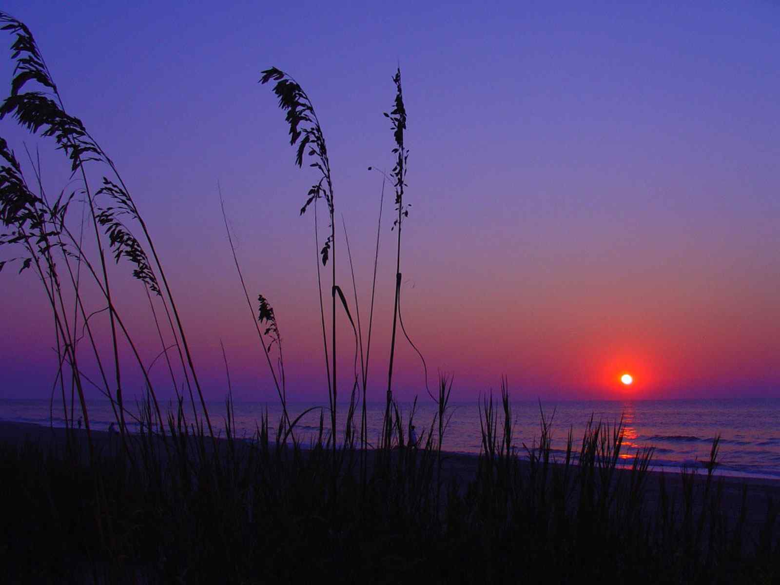 夕阳落日风景壁纸