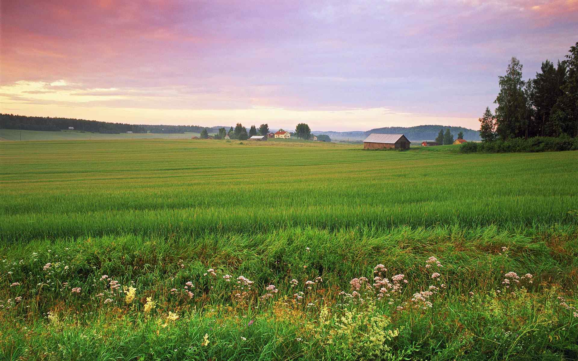 辽阔草原风景壁纸