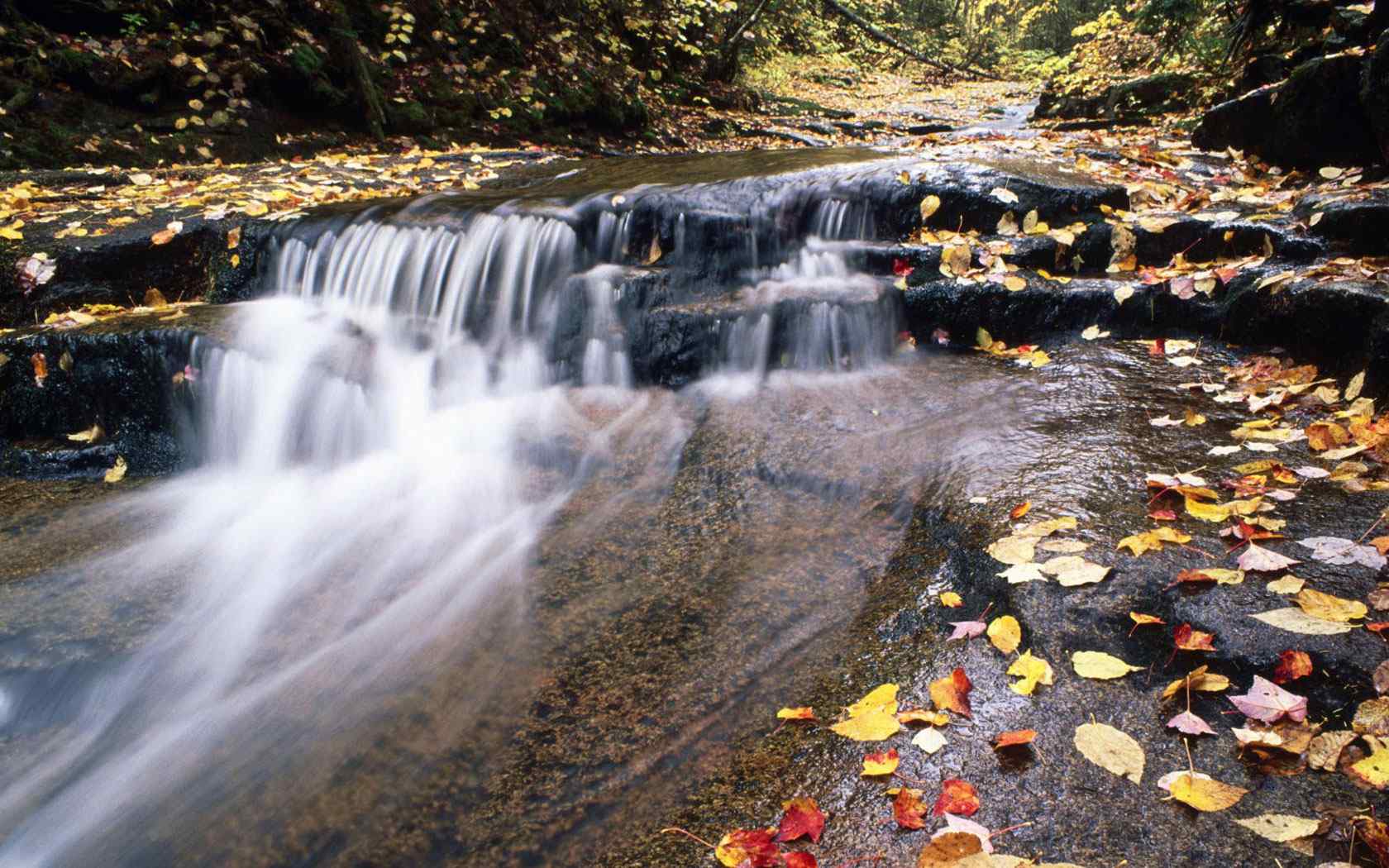 溪流山野风景壁纸