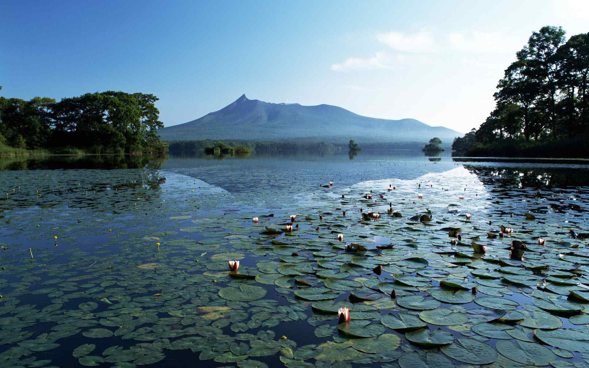 山野池塘风景壁纸