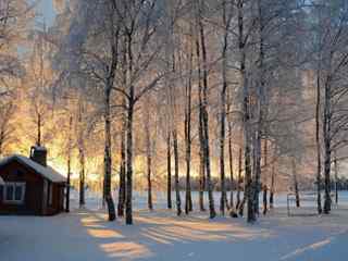 雪景夕阳风景壁纸