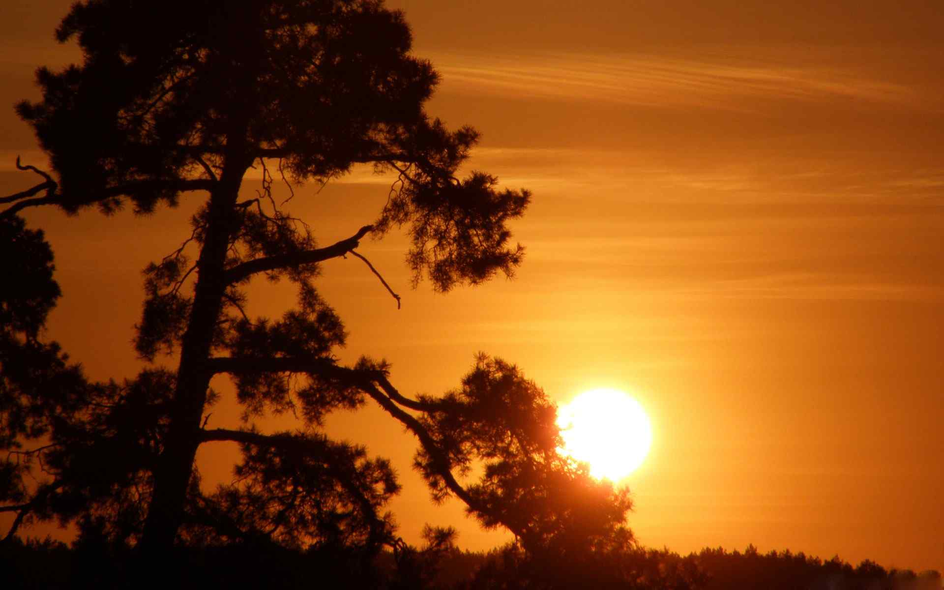 夕阳落日摄影壁纸