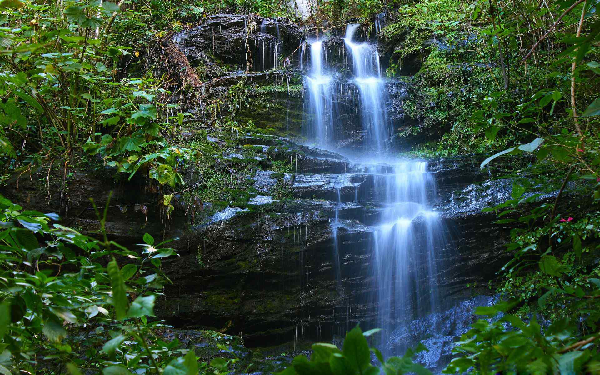 山涧溪流风景壁纸