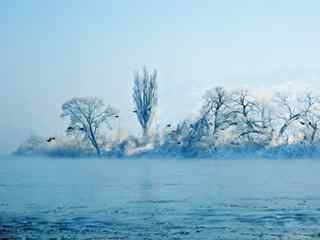 冰河雪景壁纸