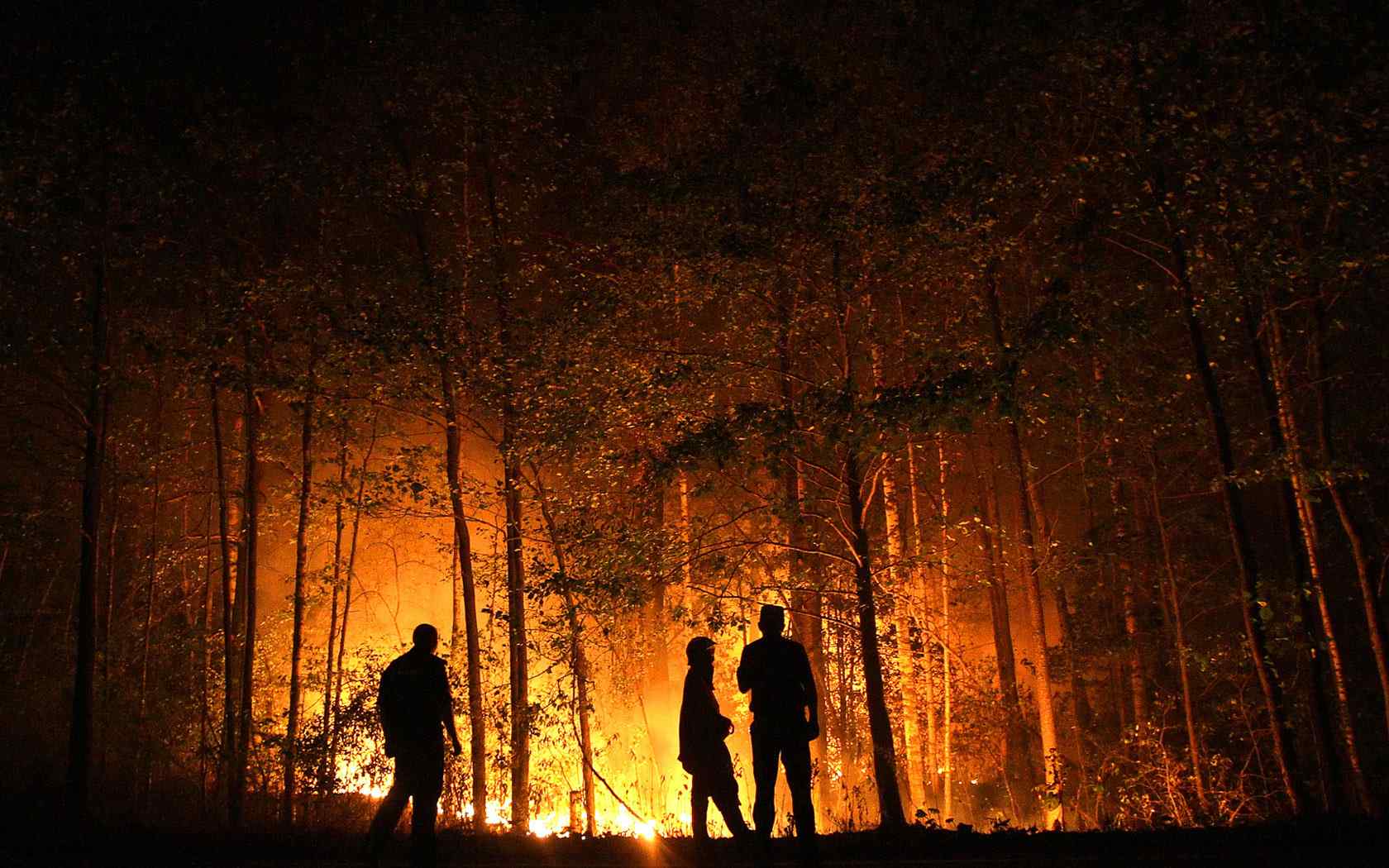 夕阳山林风景壁纸