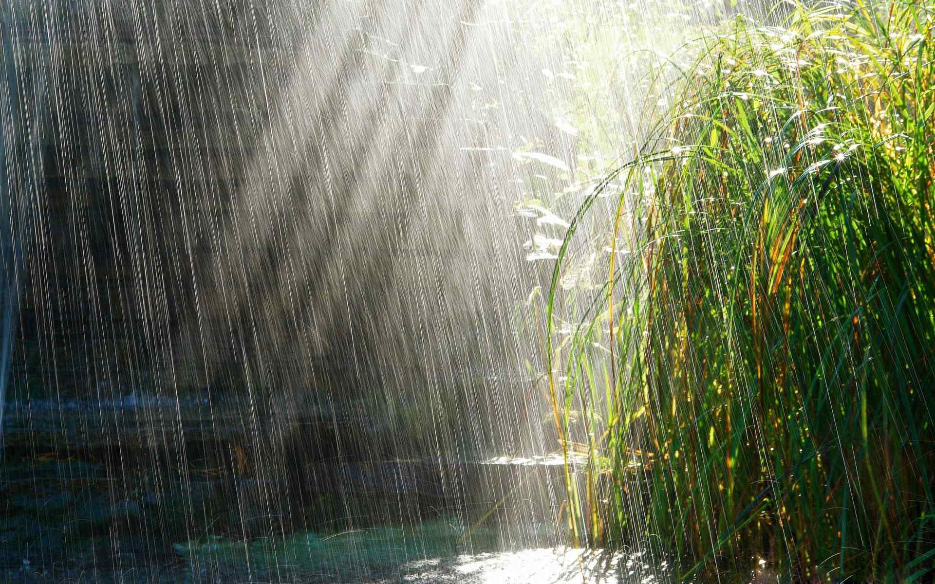 滂沱大雨摄影壁纸