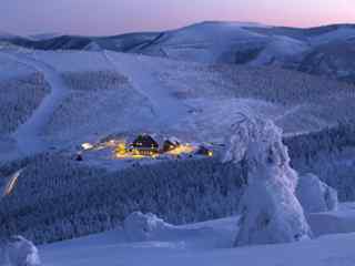 圣诞雪景山野壁纸