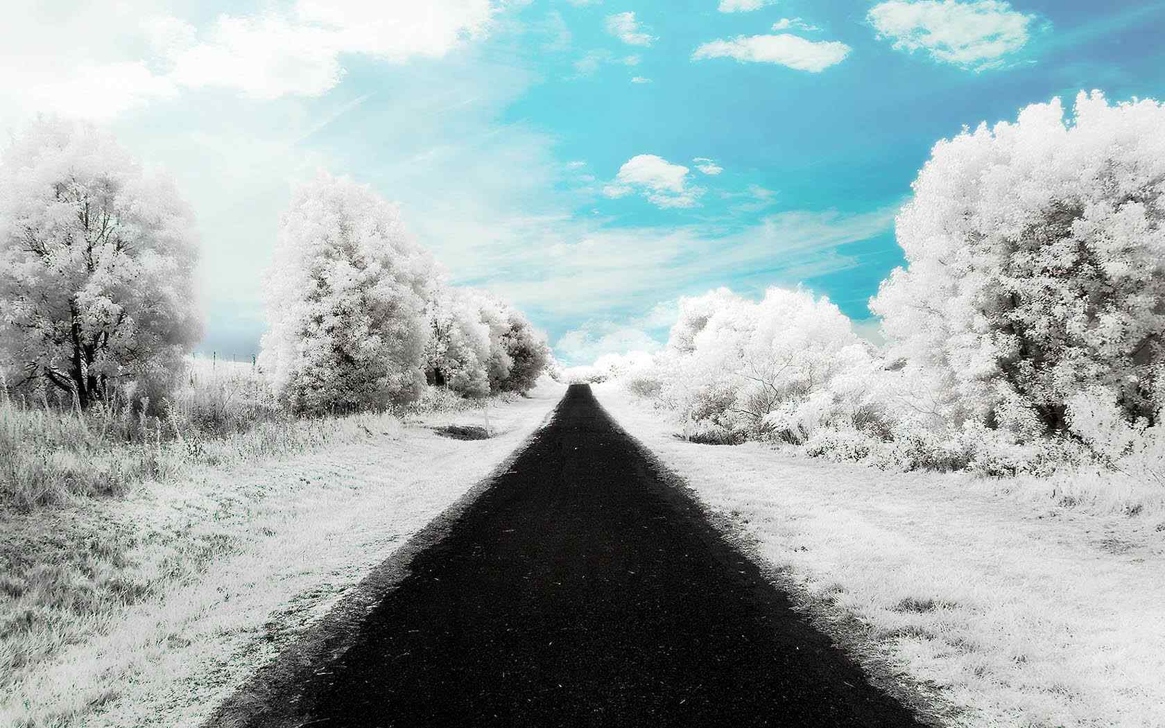 柏油路雪景油画壁纸