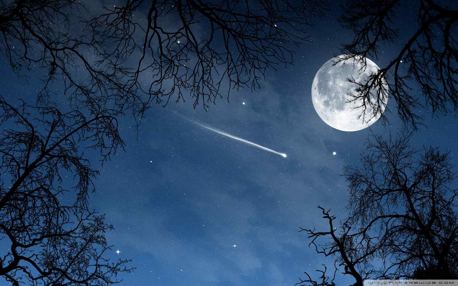 夜空流星特写壁纸