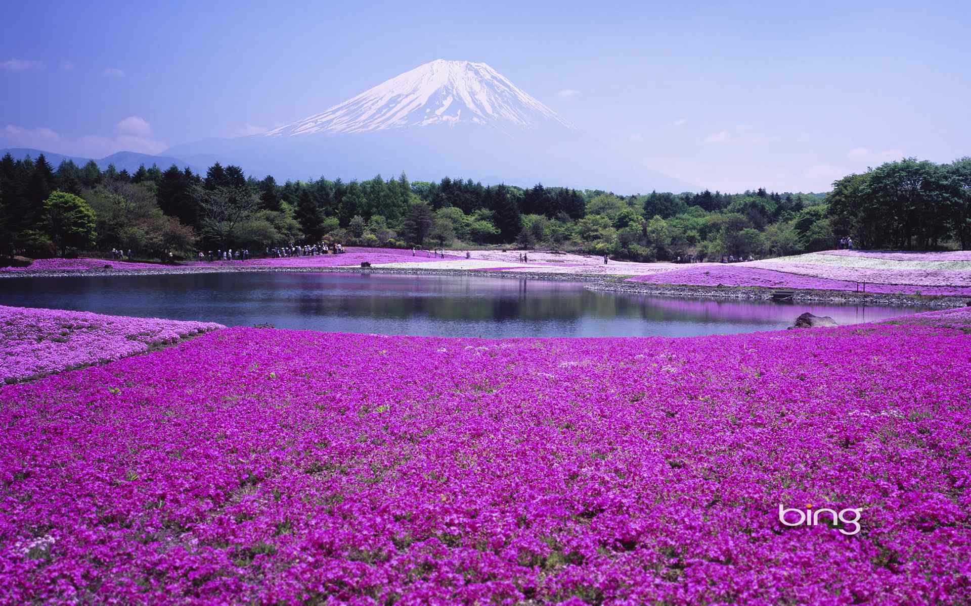 日本富士山桌面壁纸