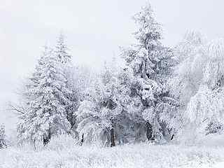 圣诞雪景桌面壁纸