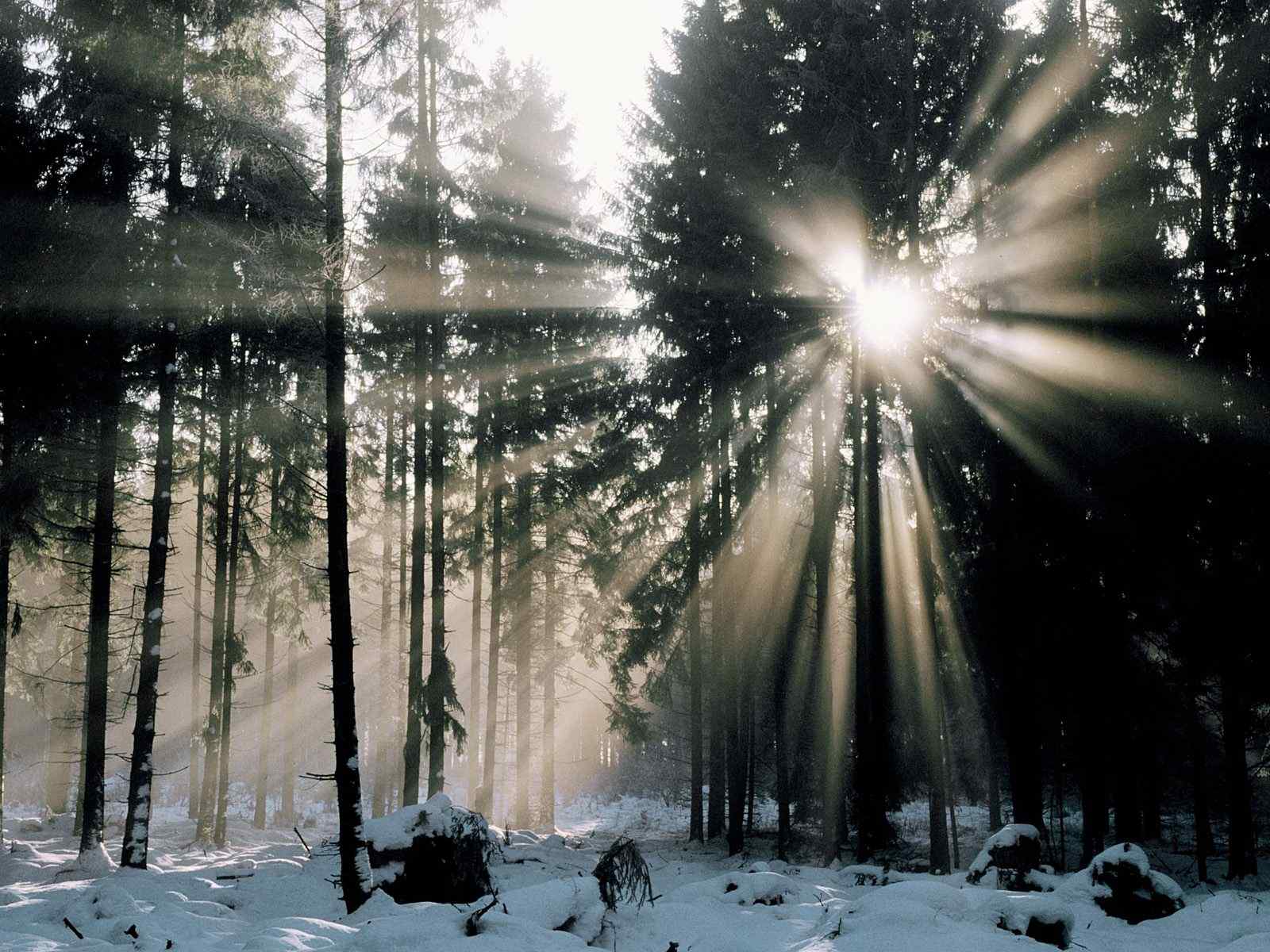 晨曦风景壁纸