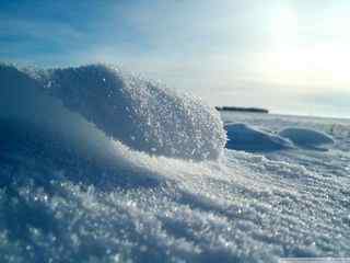 白雪特写壁纸