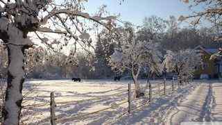 白雪风景壁纸