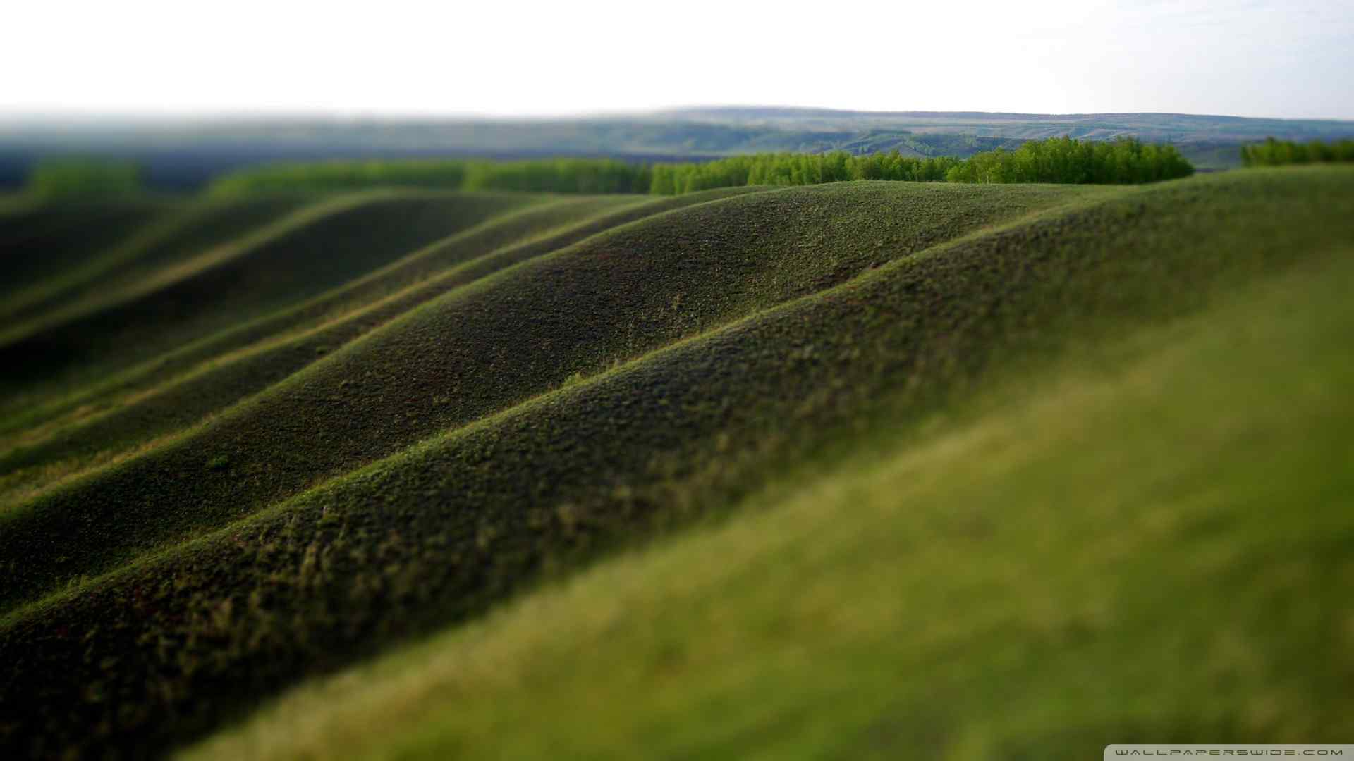 绿色山丘风景壁纸