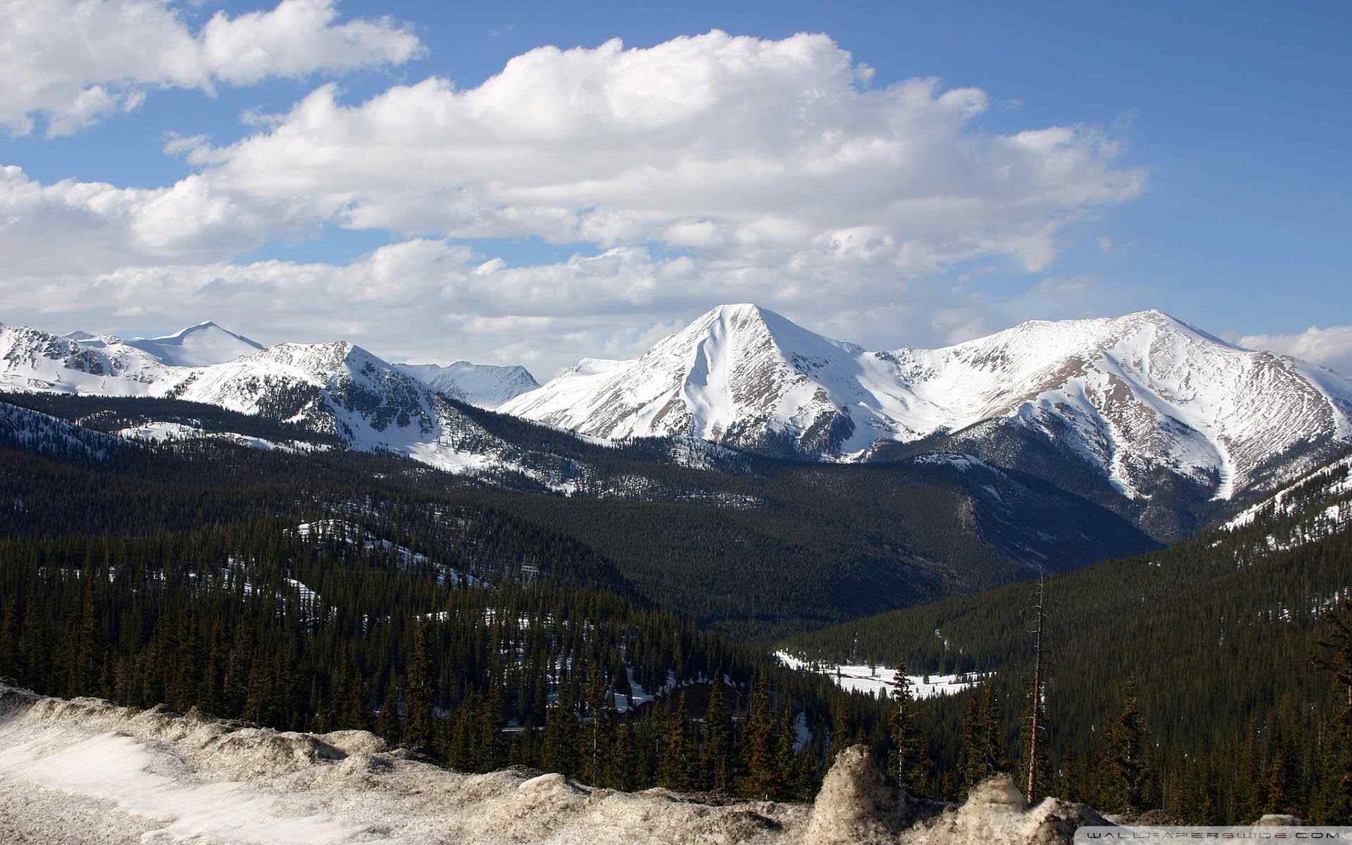 唯美雪山森林风景壁纸