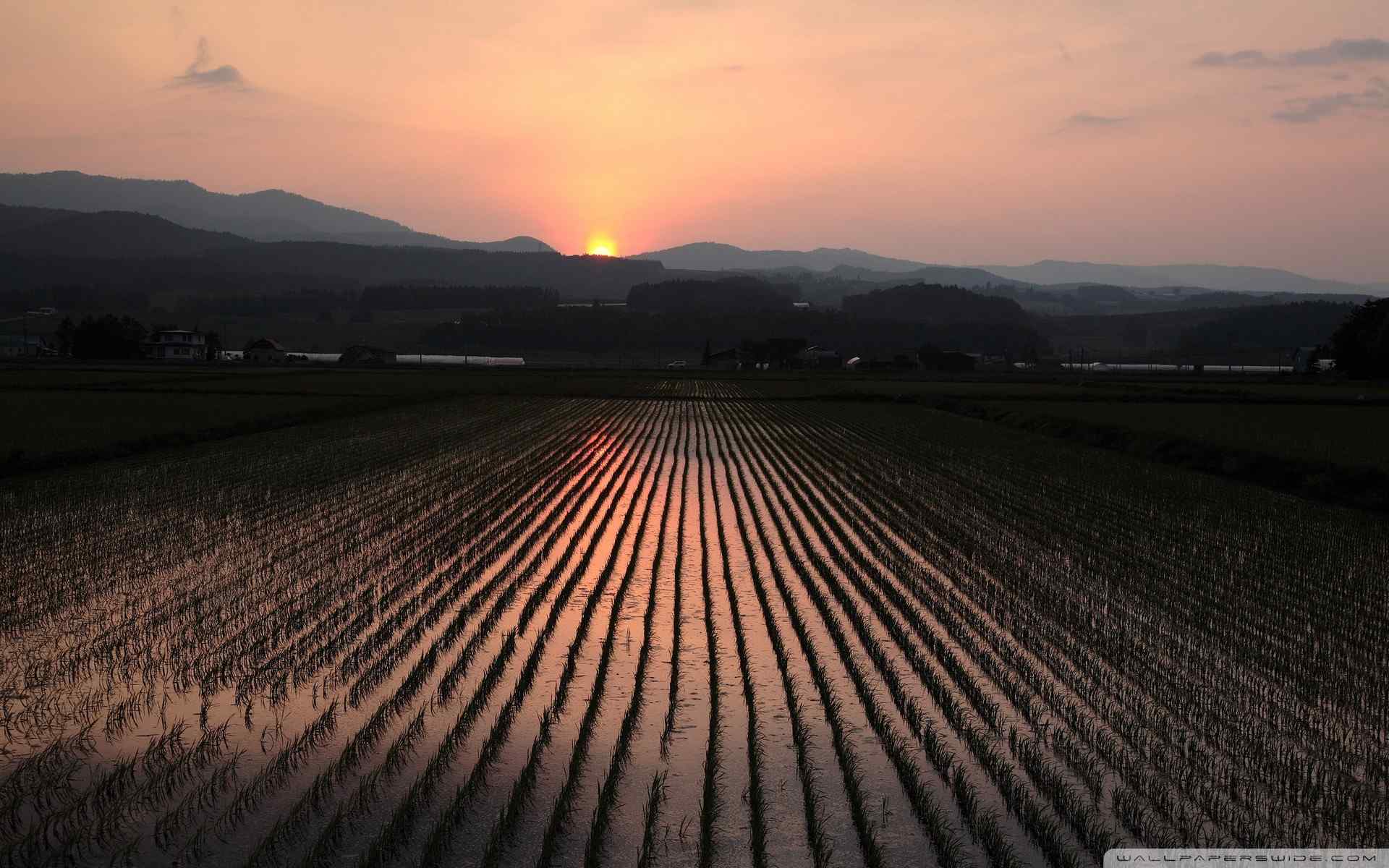 唯美日出风景壁纸