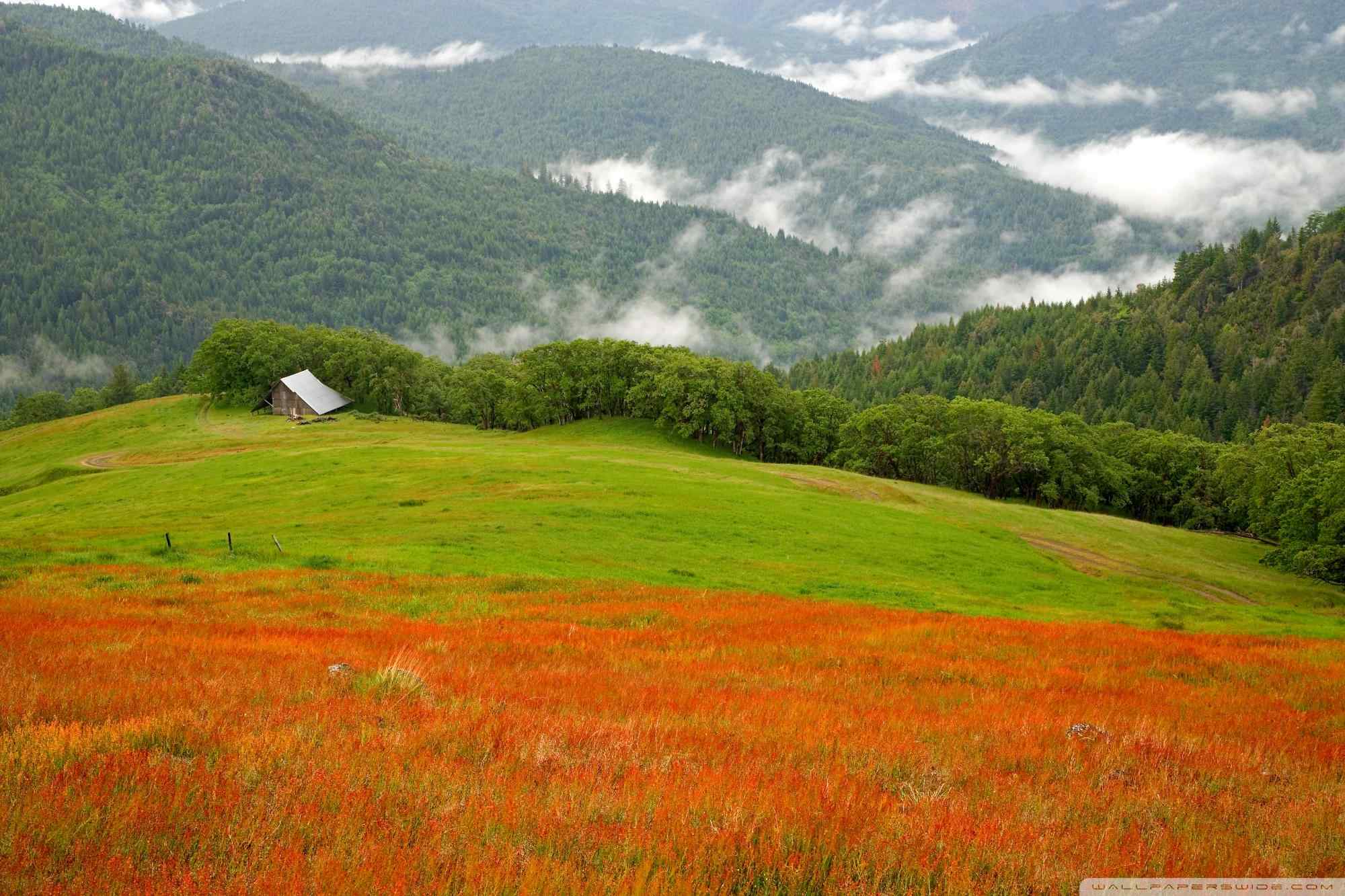 绿色养眼山峰壁纸