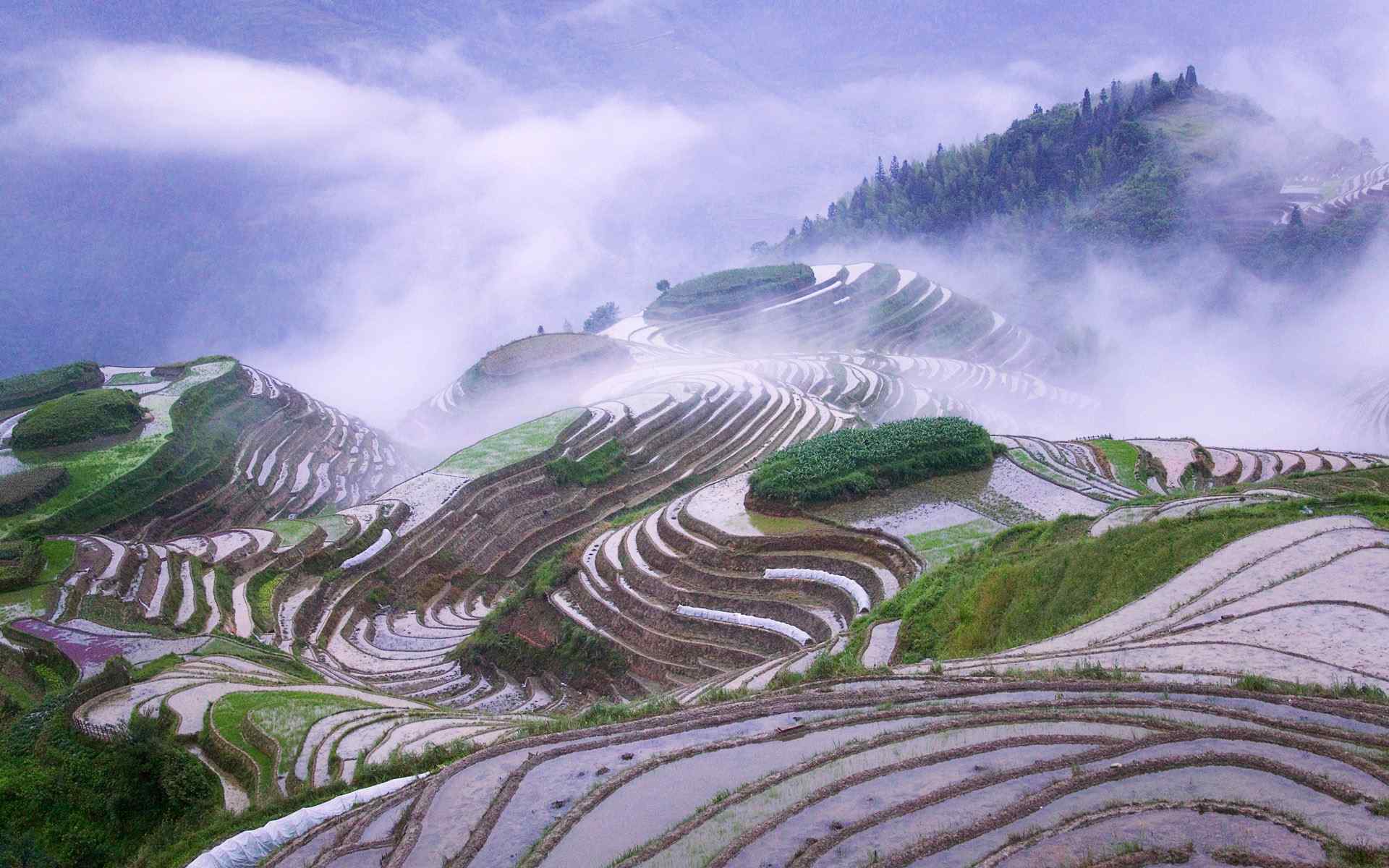 精选梯田风景壁纸