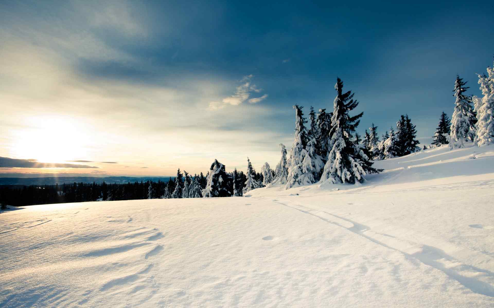 冬季雪景风景壁纸