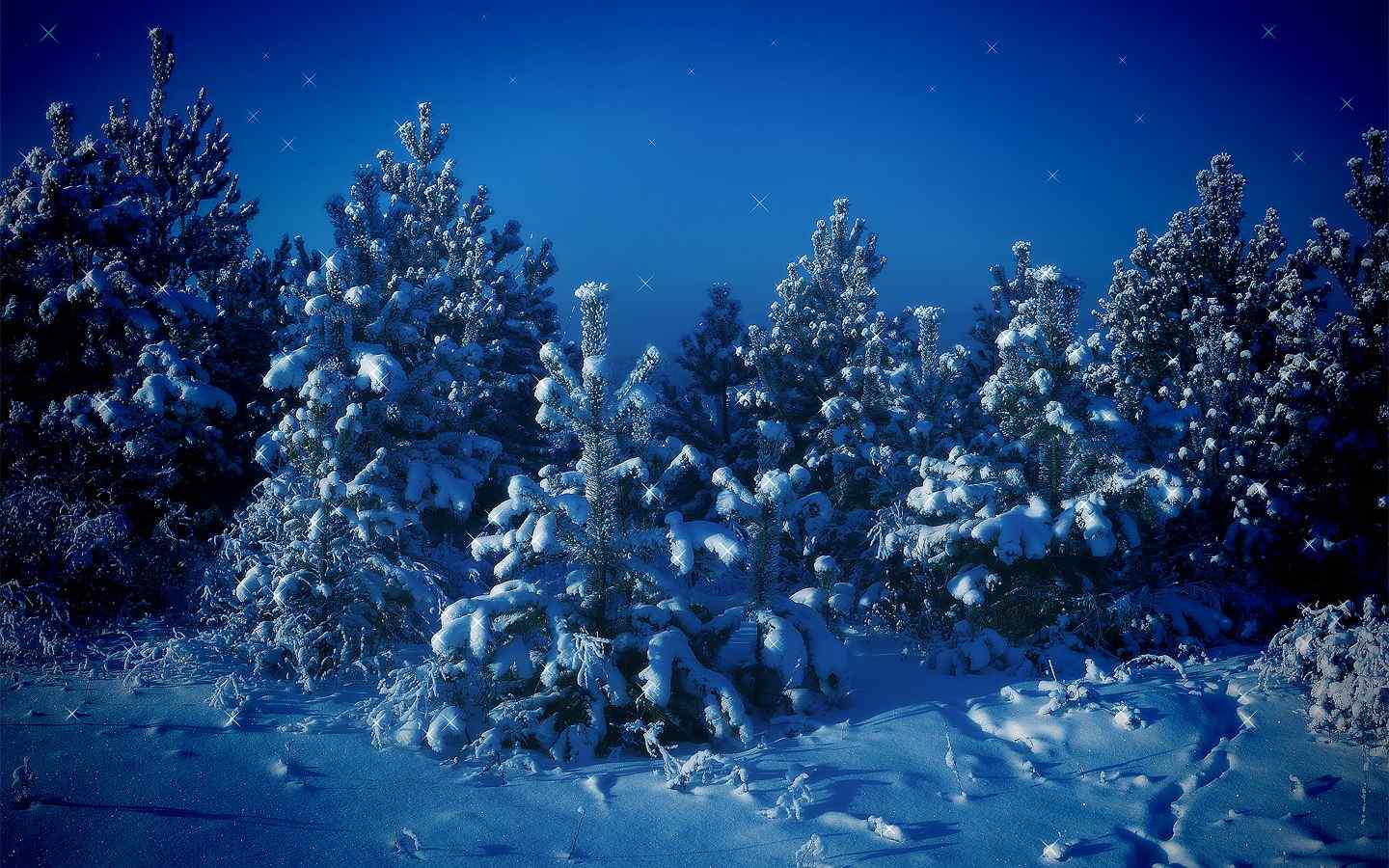 圣诞树雪景壁纸