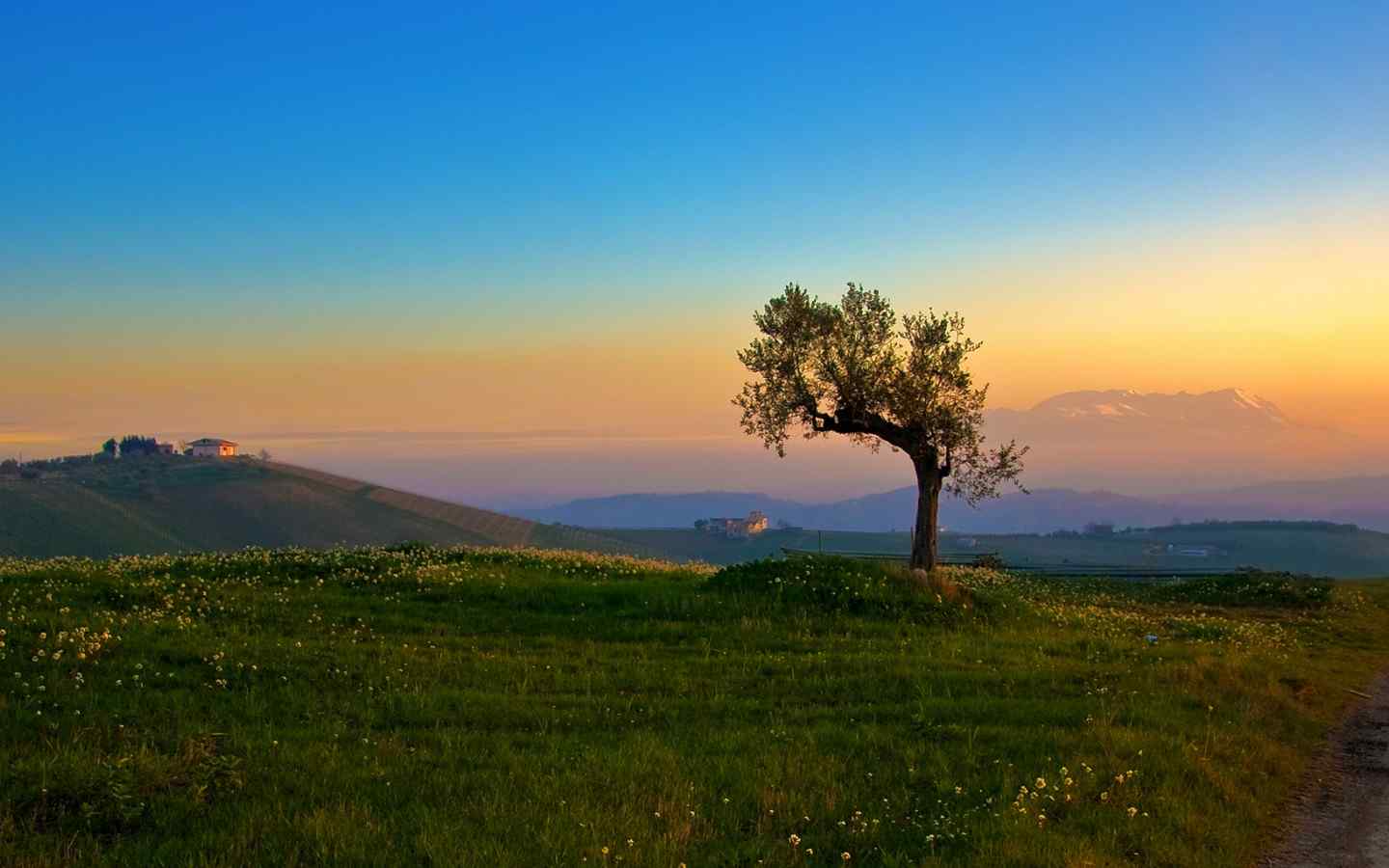 草原晨曦风景壁纸