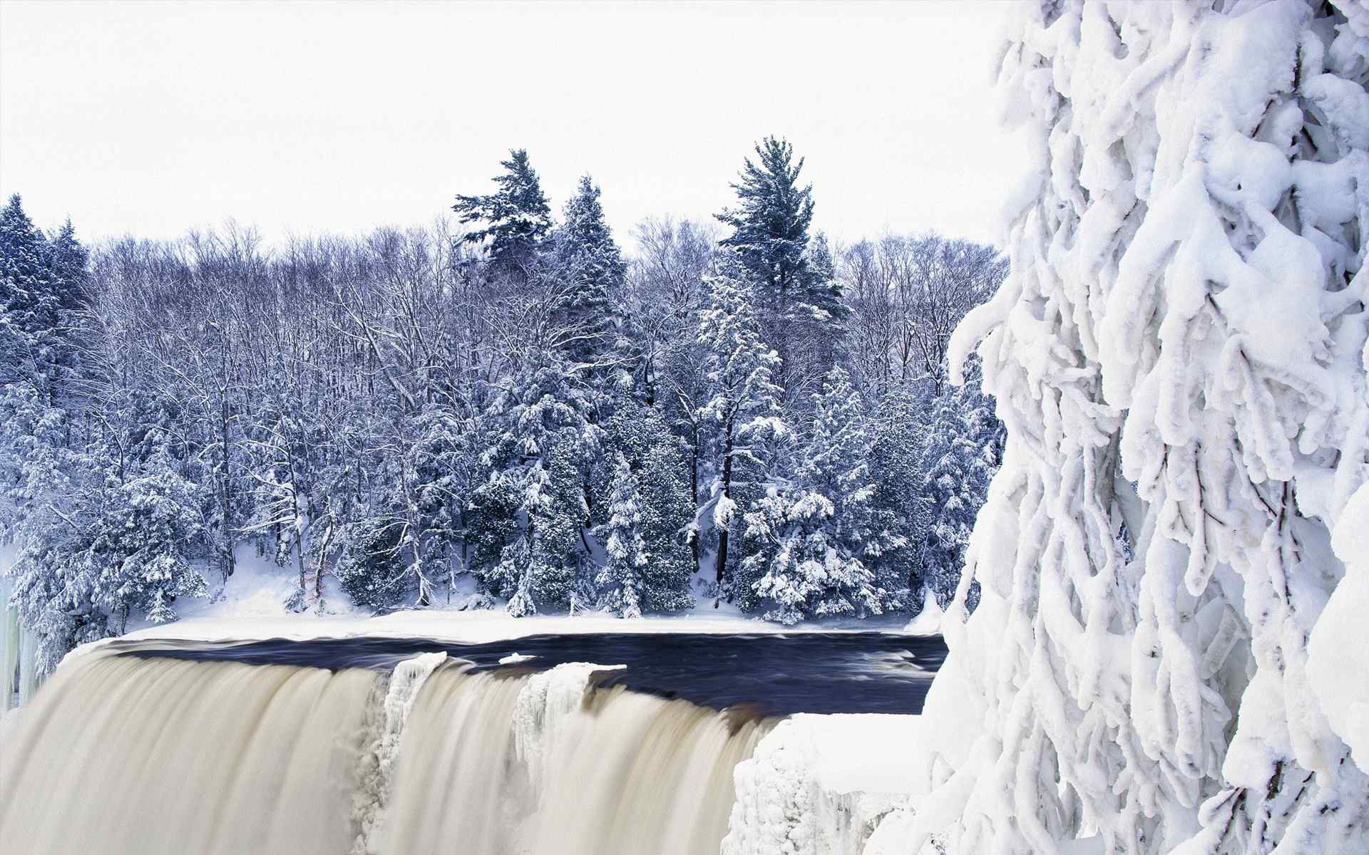 森林雪景摄影壁纸