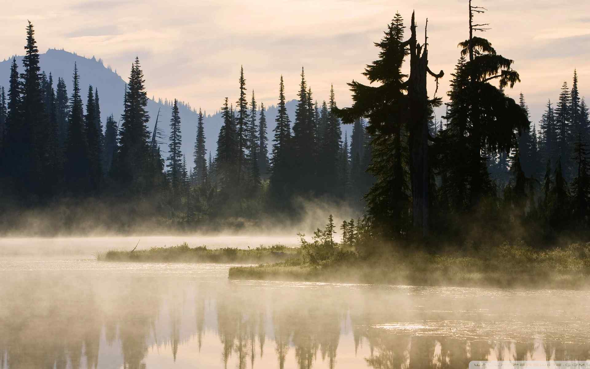 森林湖畔风景壁纸