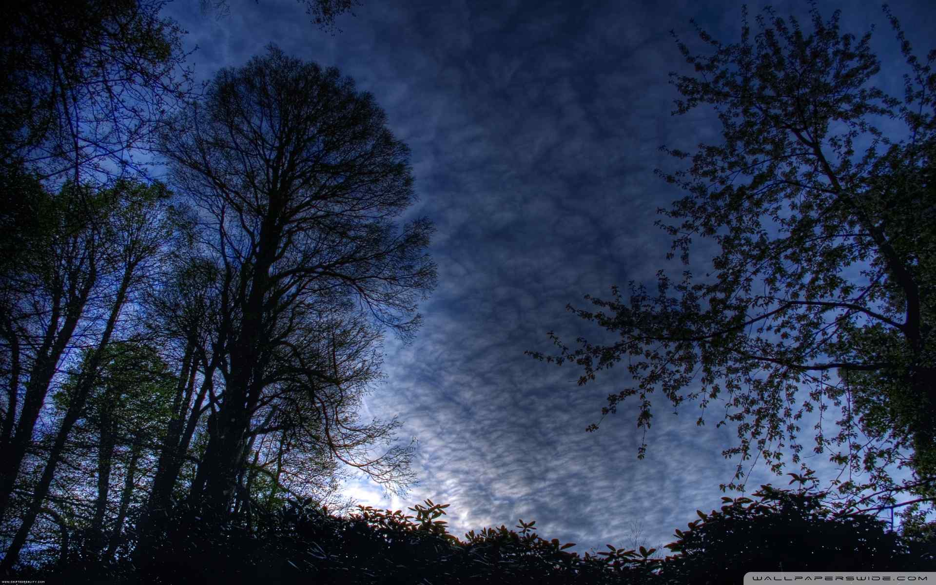 郊外暮色风景壁纸