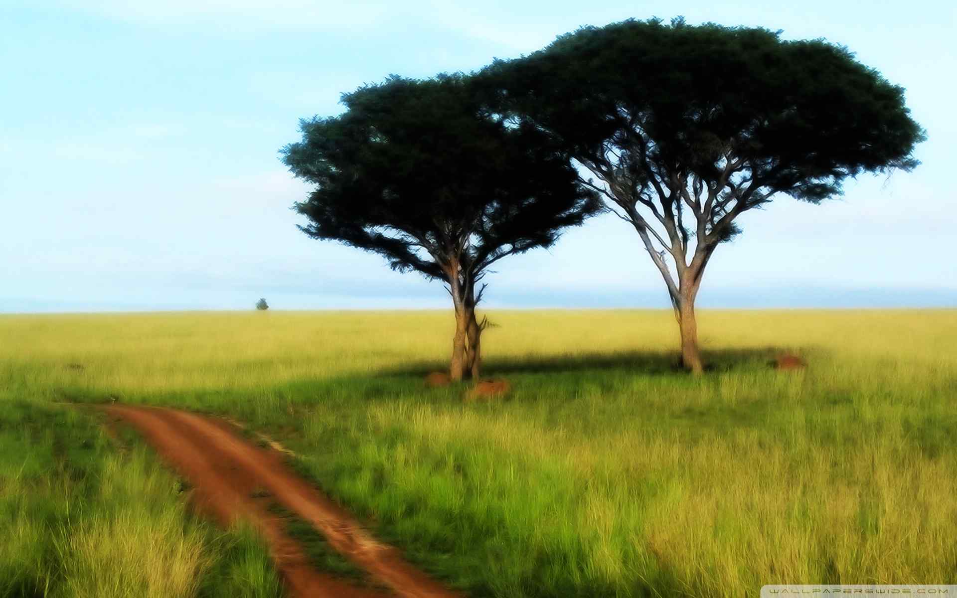 辽阔草原风景壁纸