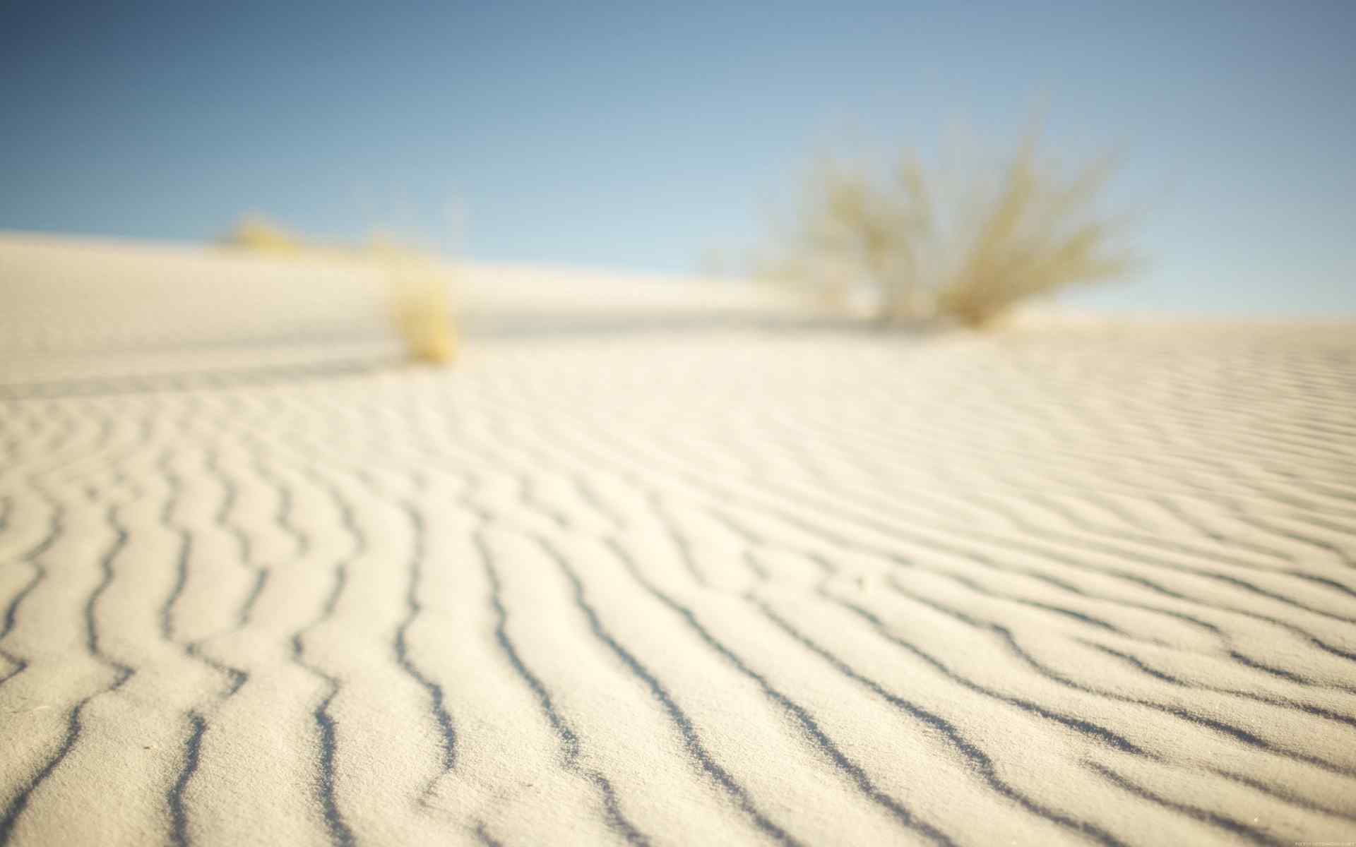 撒哈拉沙漠风景壁纸